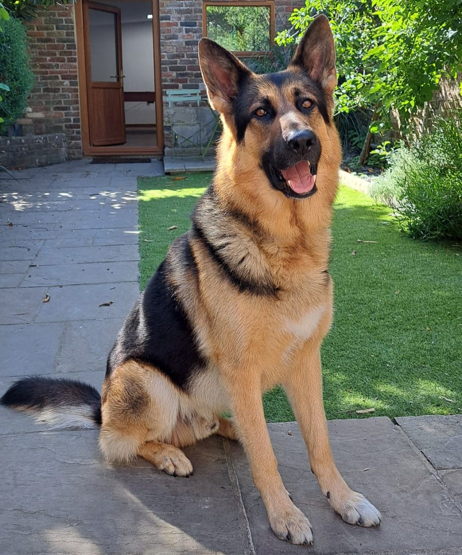 Cyrus