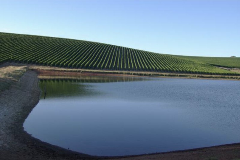 Western Australia dam and vineyards