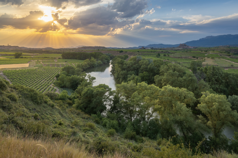 Ebro River and vineyards
