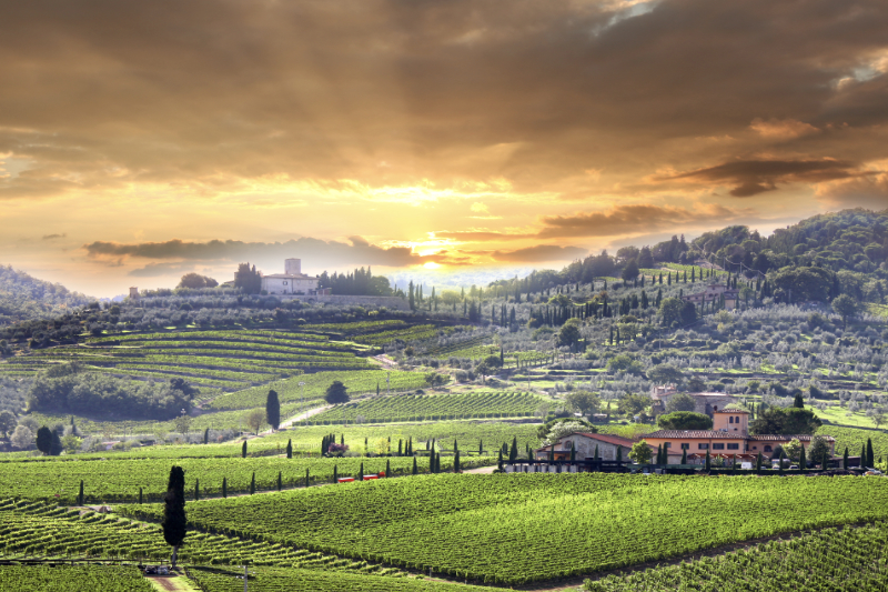 Viticcio Winery and Sunset